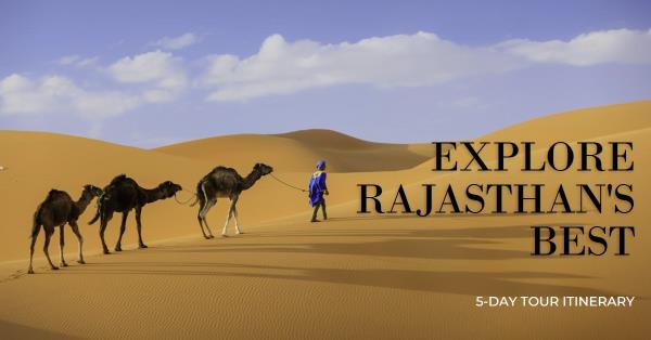 5-Day Rajasthan Tour Itinerary: Discover the Best of the Desert State