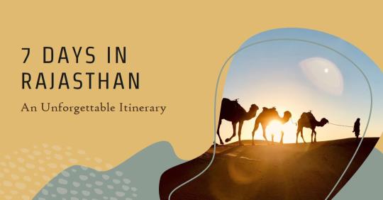 7 Days in Rajasthan: An Unforgettable Itinerary for the Ultimate Desert Adventure